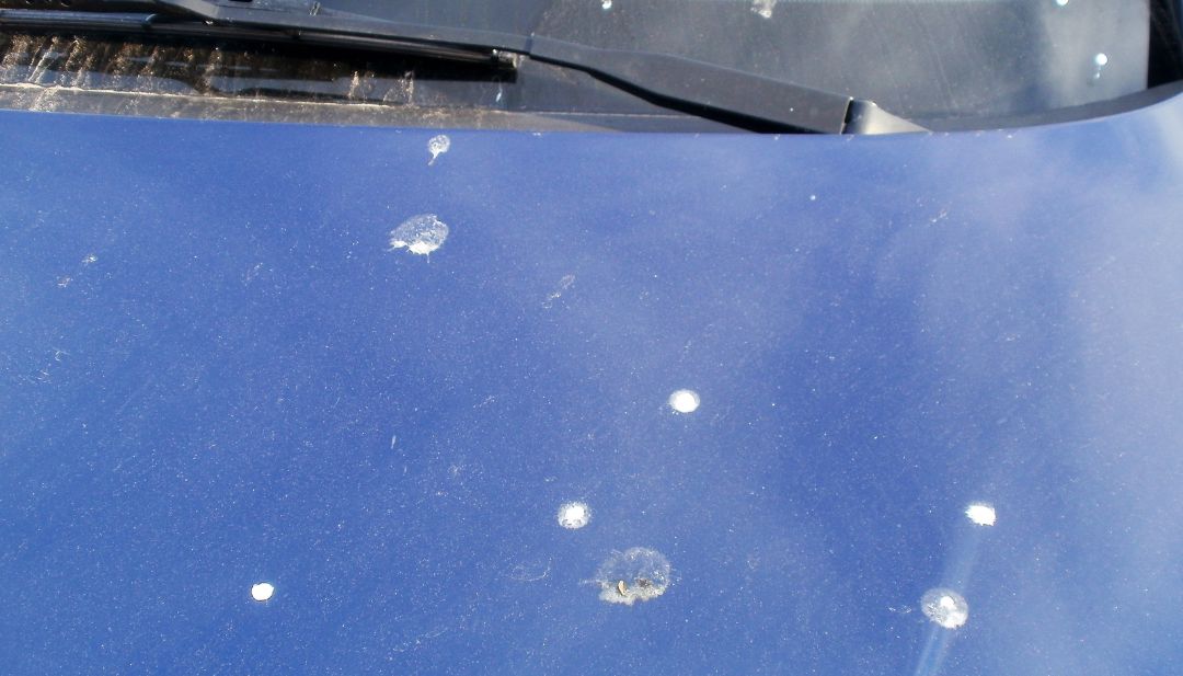 Productos especializados para la eliminación de concreto en vehículos